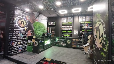Cannabis Innovation CBD