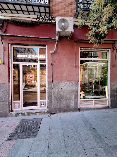 Cultura Cannábica 