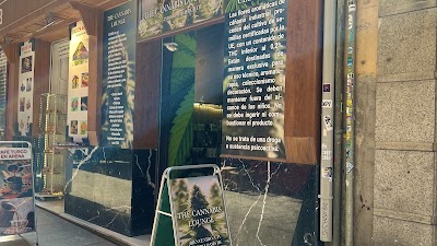 The Cannabis Lounge